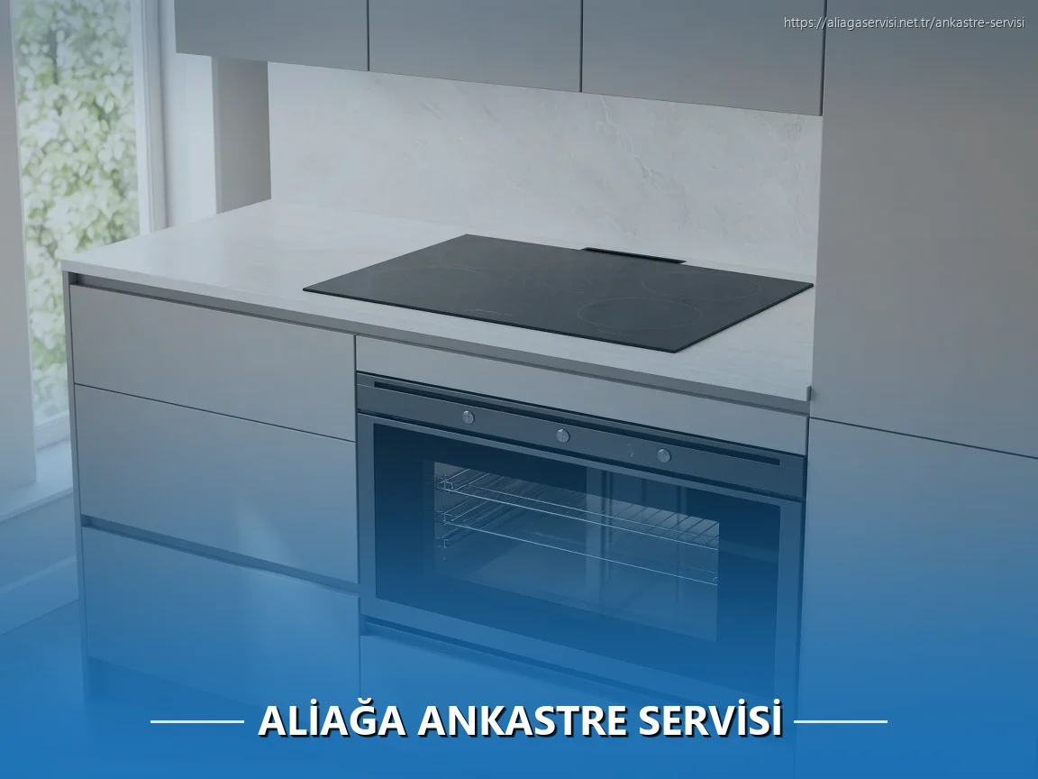 Aliağa Ankastre Servisi