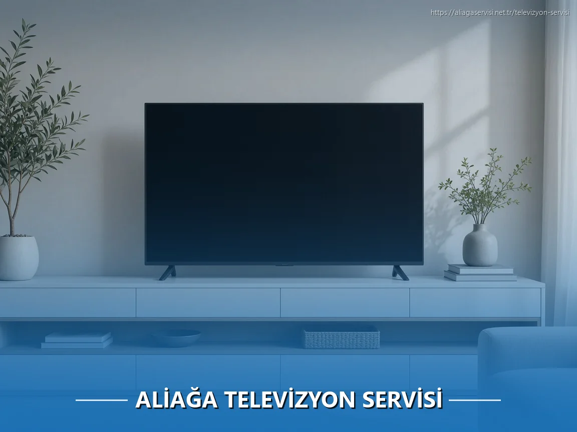 Aliağa Televizyon Servisi