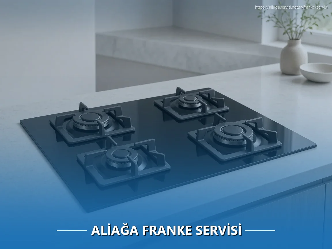 Aliağa Franke Servisi